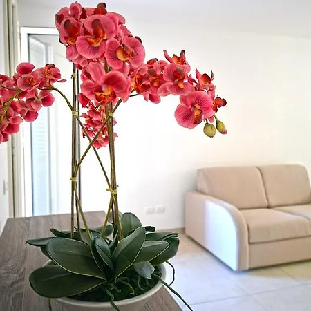 Leo * Галліполі