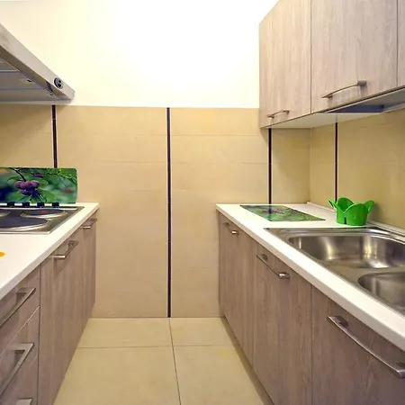 Apartment Leo *